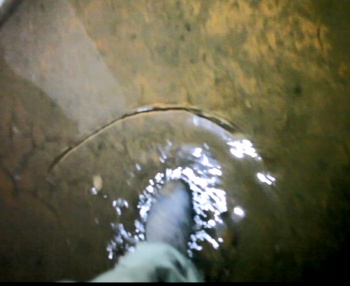 Подвал жилого дома в Керчи затоплен канализацией (видео)