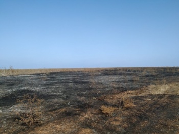 Ночью в Багерово сгорело полгектара сухой травы