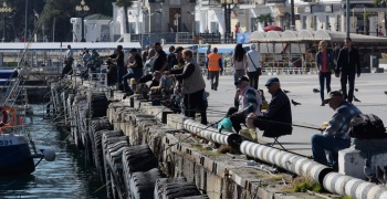 Новости » Общество: Крымчанам рассказали, где до февраля полностью  запретят лов рыбы в Черном море