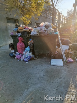 Новости » Коммуналка » Общество: В центре города не справляются с вывозом керченского мусора из контейнеров