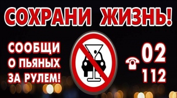 Новости » Общество: Керчан просят сообщать в ГИБДД о нетрезвых водителях
