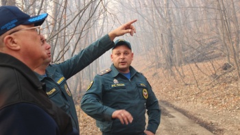 В Симферопольском районе введён режим ЧС из-за лесного пожара