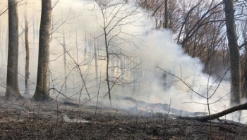 В Крыму начался еще один крупный пожар, леса закрыли для посещения