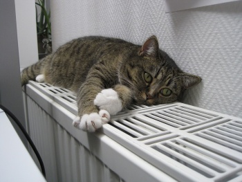 Новости » Общество: Централизованное отопление в крымских домах будут включать исходя из температуры в помещениях
