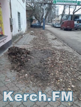 Ты репортер: Грязь и листья не убирают на улице Свердлова