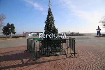 Новости » Общество: На набережной Керчи  установили новогоднюю елку