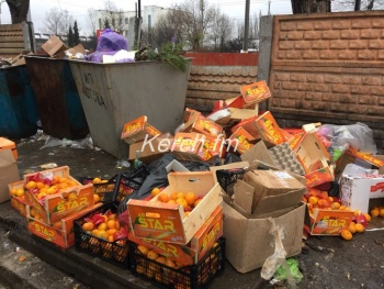 Новости » Общество: Мандарины ящиками выкидывают на мусорку в Керчи