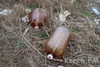 «Насвинячили»: предприниматели из Керчи выбросили пустую пивную тару на стихийную свалку