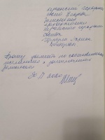 Хужина и Щербула написали заявление об увольнении, - Единая Россия