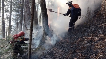 В Крыму горел лес на площади 4,7 Га