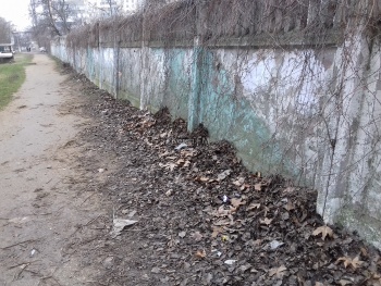 Новости » Общество: Керчане пожаловались на мусор и грязь по  Марата-4