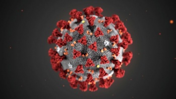 Блог редакции: Семь шагов по профилактике коронавирусной инфекции