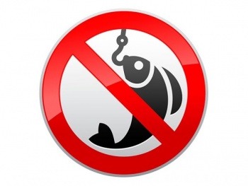 Новости » Общество: В Крыму  вводится нерестовый запрет на лов пресноводной рыбы