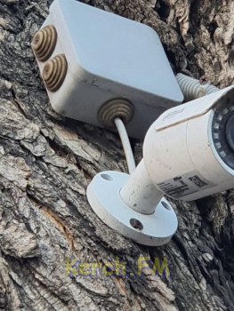 Новости » Общество: Неизвестные повредили дерево в Керчи, прибив к стволу камеру наружного наблюдения
