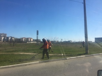 Новости » Общество: В Керчи на Ворошилова косили траву