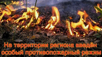 Новости » Общество: В Крыму с 16 по 20 апреля объявили о высокой пожарной опасности