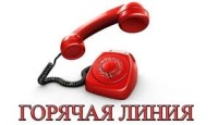 Новости » Общество: Омбудсмен по защите прав предпринимателей в Крыму открыл  «горячую линию»