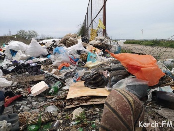 Новости » Экология » Общество: На городской полигон в Керчи сваливают мусор через дыру в заборе