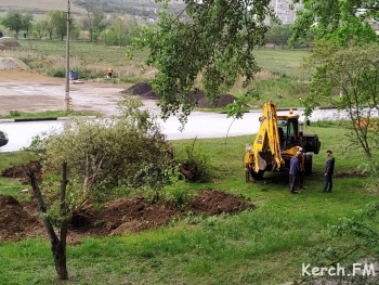 Новости » Общество: Деревья будут восстановлены после ремонта сетей по Ворошилова