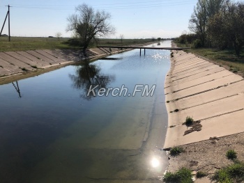 Новости » Общество: Северо-Крымский канал сегодня- хватит ли воды?