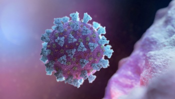 Новости » Общество: Еще один севастополец заразился коронавирусом
