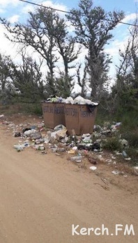Ты репортер: В районе горпляжа Керчи не вывозят мусор