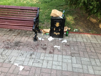 Новости » Общество: Подрядчик не справляется: Бороздин рассказал почему в парках грязно