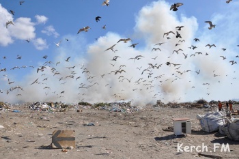 В Крыму готовят к рекультивации мусорные полигоны