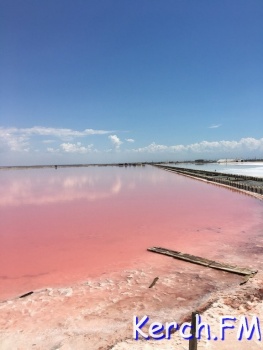 Новости » Общество: Засуха может повлиять на добычу розовой соли в Крыму