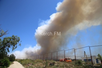 В Керчи горит городская свалка (видео)