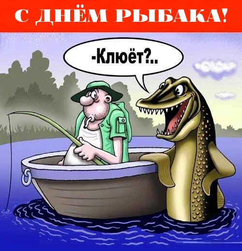 Сокол Керчь Магазин Рыбалка