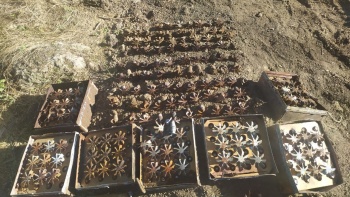 В Багерово нашли и уничтожили более 400 взрывоопасных предметов