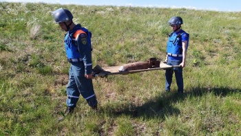 Новости » Общество: В Керчи и Ленинском районе нашли бомбы