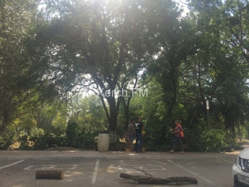 Новости » Общество: В Керчи распилили упавшее на машины дерево