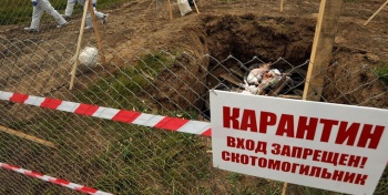 На западе Крыма  нашли два нелегальных скотомогильника