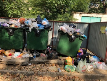 Жители Аршинцево жалуются на переполненные мусорные контейнеры