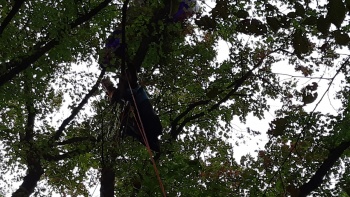 Новости » Общество: Парапланерист в Крыму застрял на дереве в 10 метрах от земли