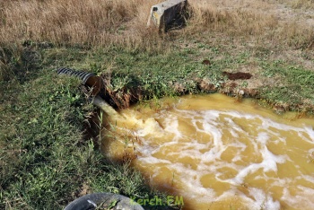 Новости » Экология » Общество: Свалки мусора, ракушек и слив грязной воды обнаружили у водоема Керчи (видео)