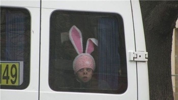 Маленьких «зайцев» запретят высаживать из общественного транспорта