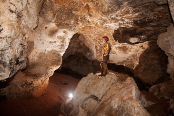 Экскурсии в пещеру «Таврида» с останками древних животных в Крыму планируют начать зимой