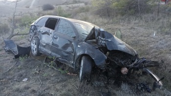 В Крыму «Audi» врезался в дерево, пострадали двое