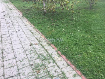 В Керчи на Шлагбаумской площади косили траву