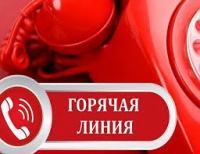 Новости » Общество: Администрация Керчи проведет прием граждан в формате «горячей линии»