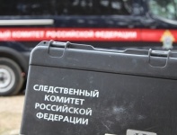Двое маленьких детей отравились угарных газом в Крыму