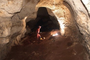 В крымской пещере нашли останки дикобраза возрастом более 1,5 млн лет