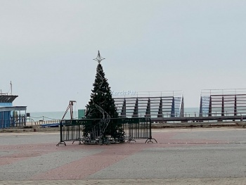 Новости » Общество: На набережной Керчи установили новогоднюю елку