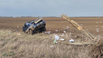 В Крыму автомобиль врезался в дерево: погибла женщина-водитель
