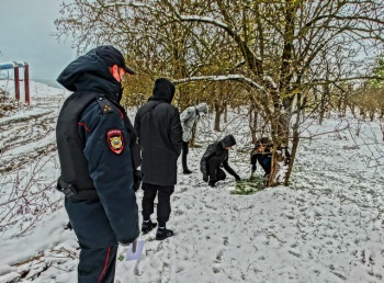 Наркокурьера из Иркутска задержали в Керчи