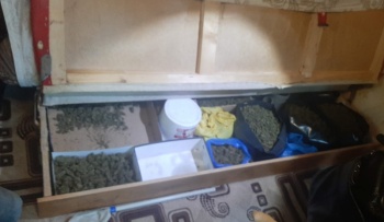 Больше 13 кг марихуаны крымчанин хранил в диване