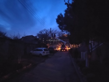 Новости » Коммуналка: Керчане лишились бытовой техники из-за сухого дерева, упавшего на провода